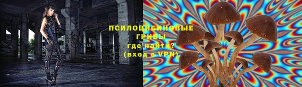 прущие крисы Магадан