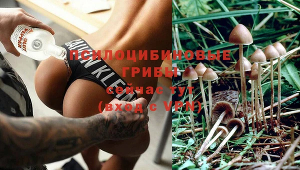 прущая мука Магас